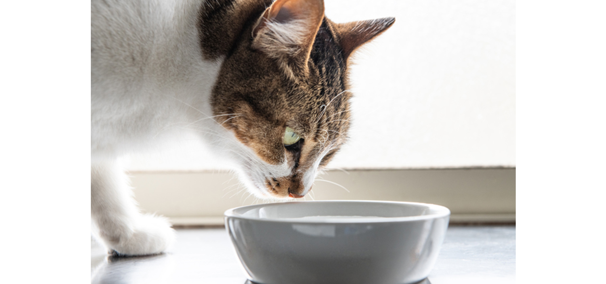 脱水を防ぐために水分補給を促す